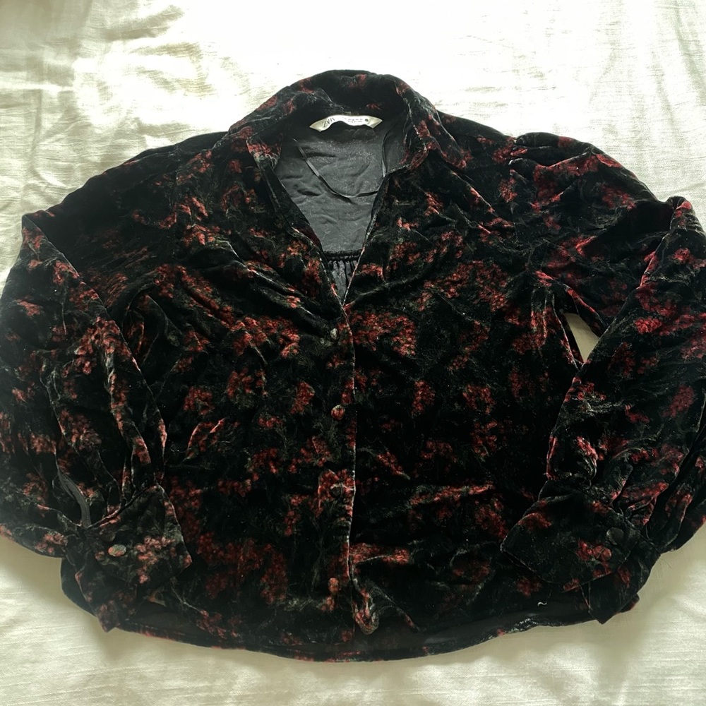 Zara Printed Velvet Blouse - Picture 4 of 4